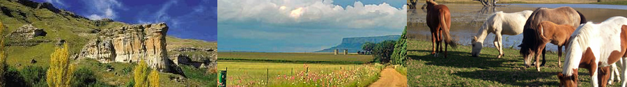 conference centres free state